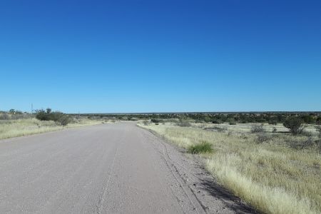 Namibia - Kalahari.jpg