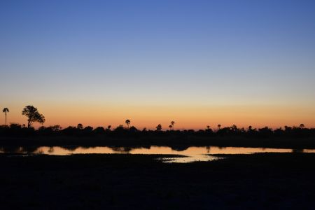 Botswana - Okavango 2.jpg