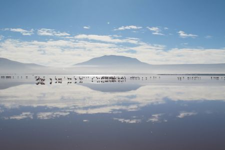 Bolivia - Laguna Colorada 2.jpg