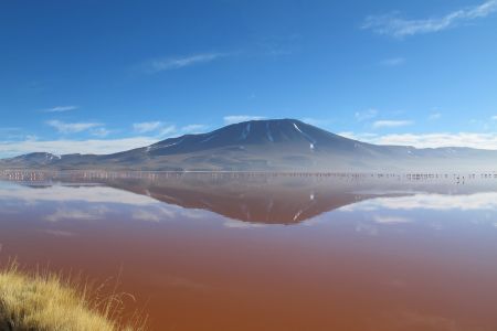 Bolivia - Laguna Colorada.jpg