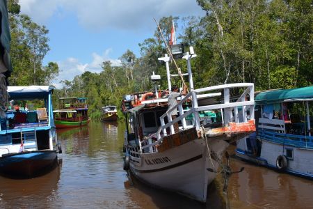 Borneo - Sekonyer River.jpg