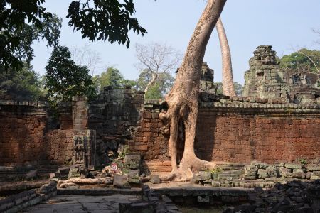 Cambodia - Siem Reap 5.jpg