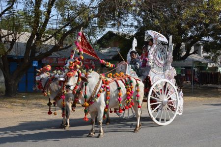 Myanmar - Bagan 5.jpg