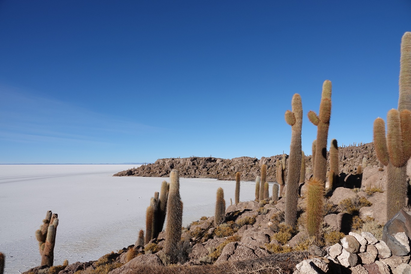 Uyuni3.jpg