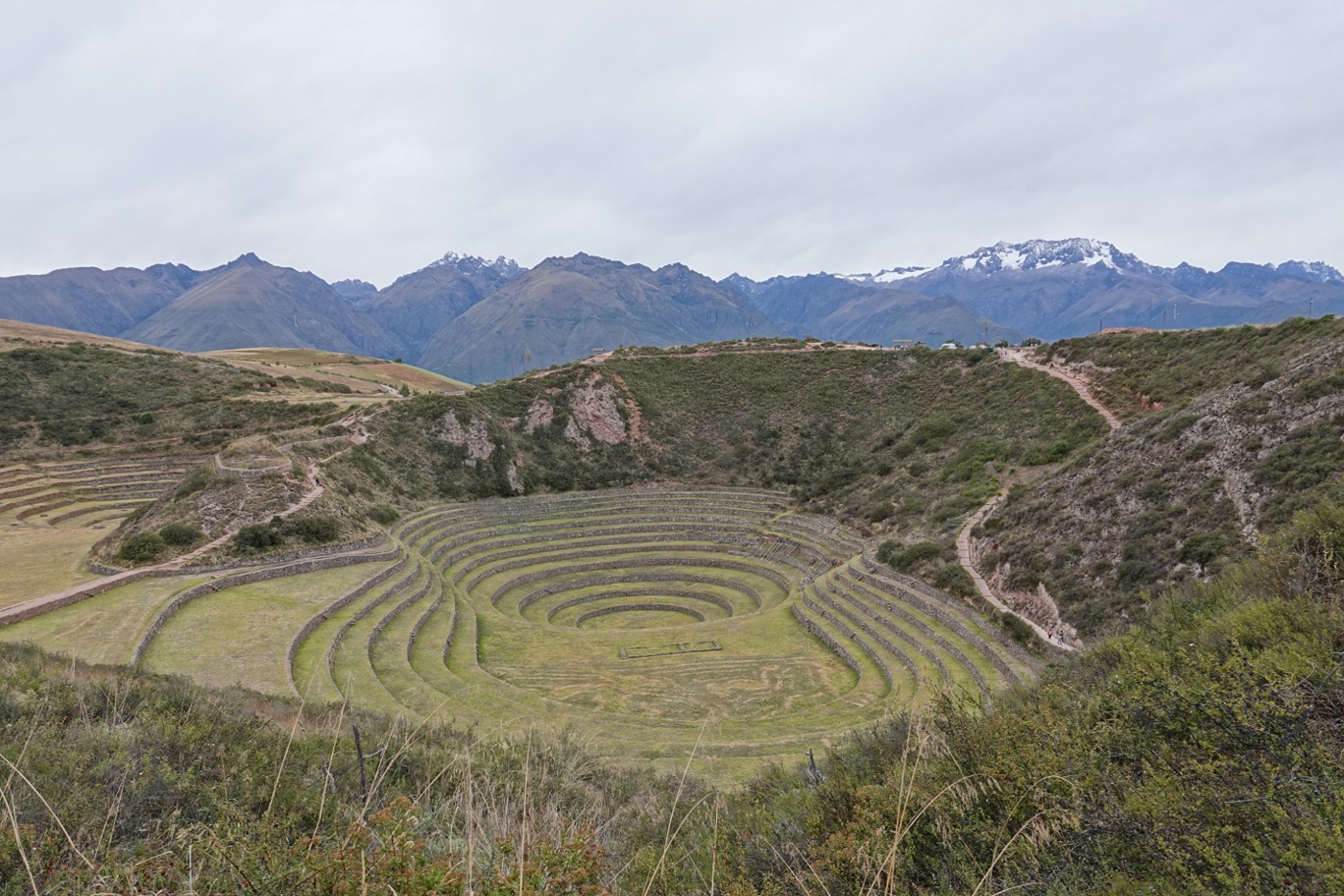 Moray.jpg
