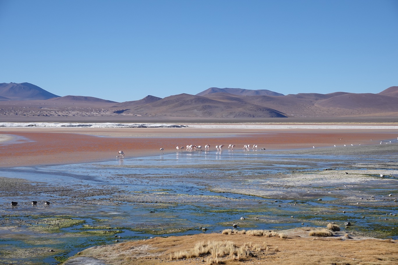 Laguna Colorada.jpg