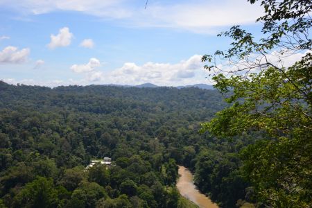 Danum Valley4.jpg