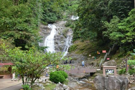 Cameron Highlands6.jpg