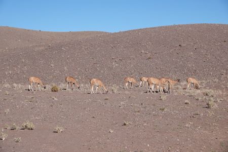 San Pedro de Atacama4.jpg