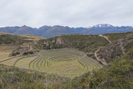 Moray.jpg