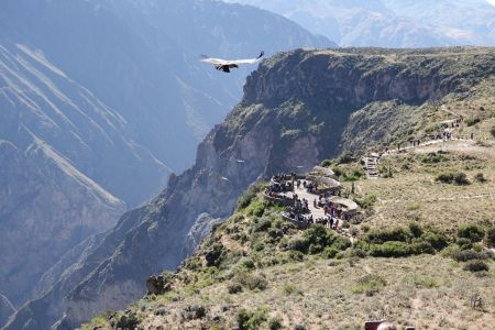 Colca4.jpg