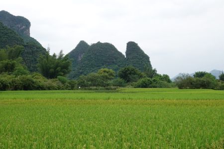 Yangshuo.jpg