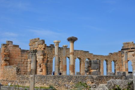 Volubilis.jpg