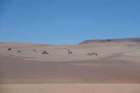Desierto Salvador Dali.jpg