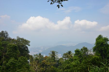 Penang8.jpg