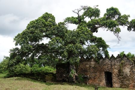 Kilwa Kisiwani 6.jpg