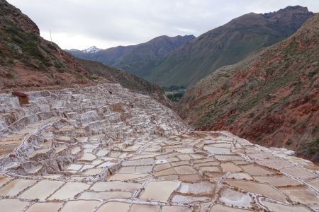 Maras.jpg