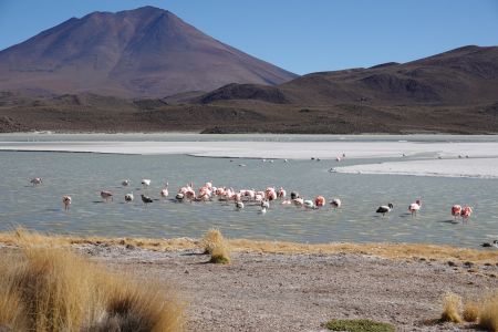 San Pedro de Quemez2.jpg